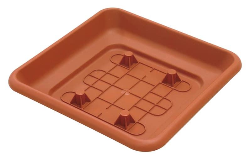 Ics Sottovaso Quadro Laurus Cm 35 x 35 - 2