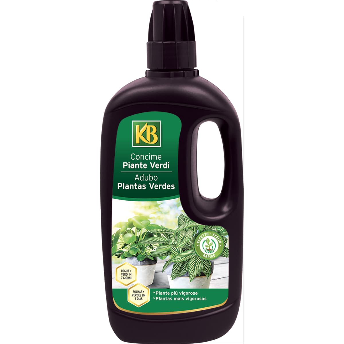 Kb Concime Liquido Piante Verdi L 1 12 Pezzi - 2