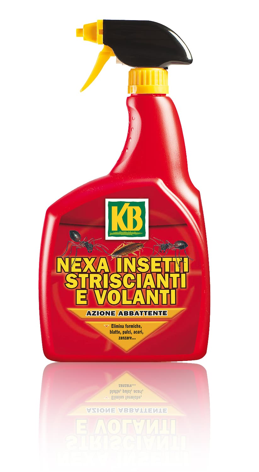 Kb Insetticida Nexa per Insetti Stricianti e Volanti Ml. 750 - 2