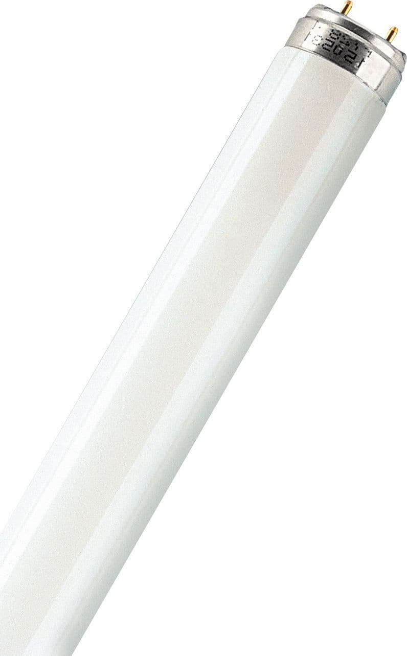 Neon Fluorescente Confort Diritto T8 G13 Freddissima 58 W 5000 Lm Cm 150 25 - 2