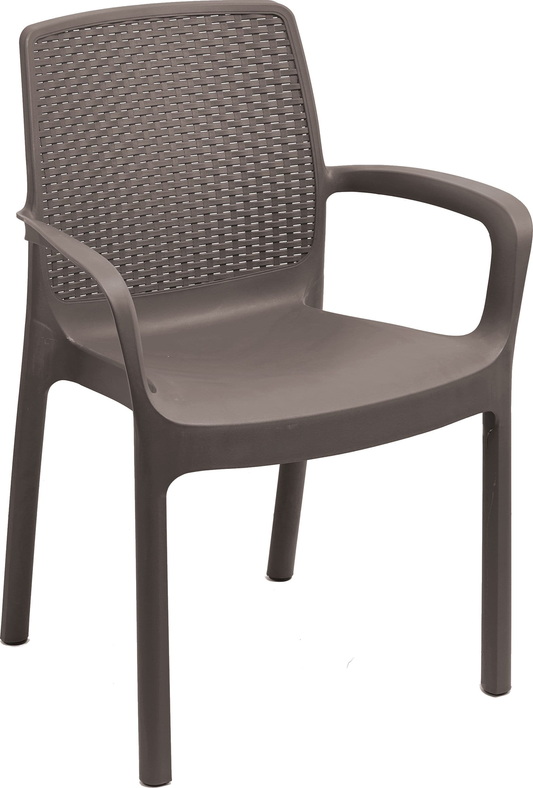 Sedia Regina Cm 60 5 x 54X82 H Colore Testa di Moro - 3