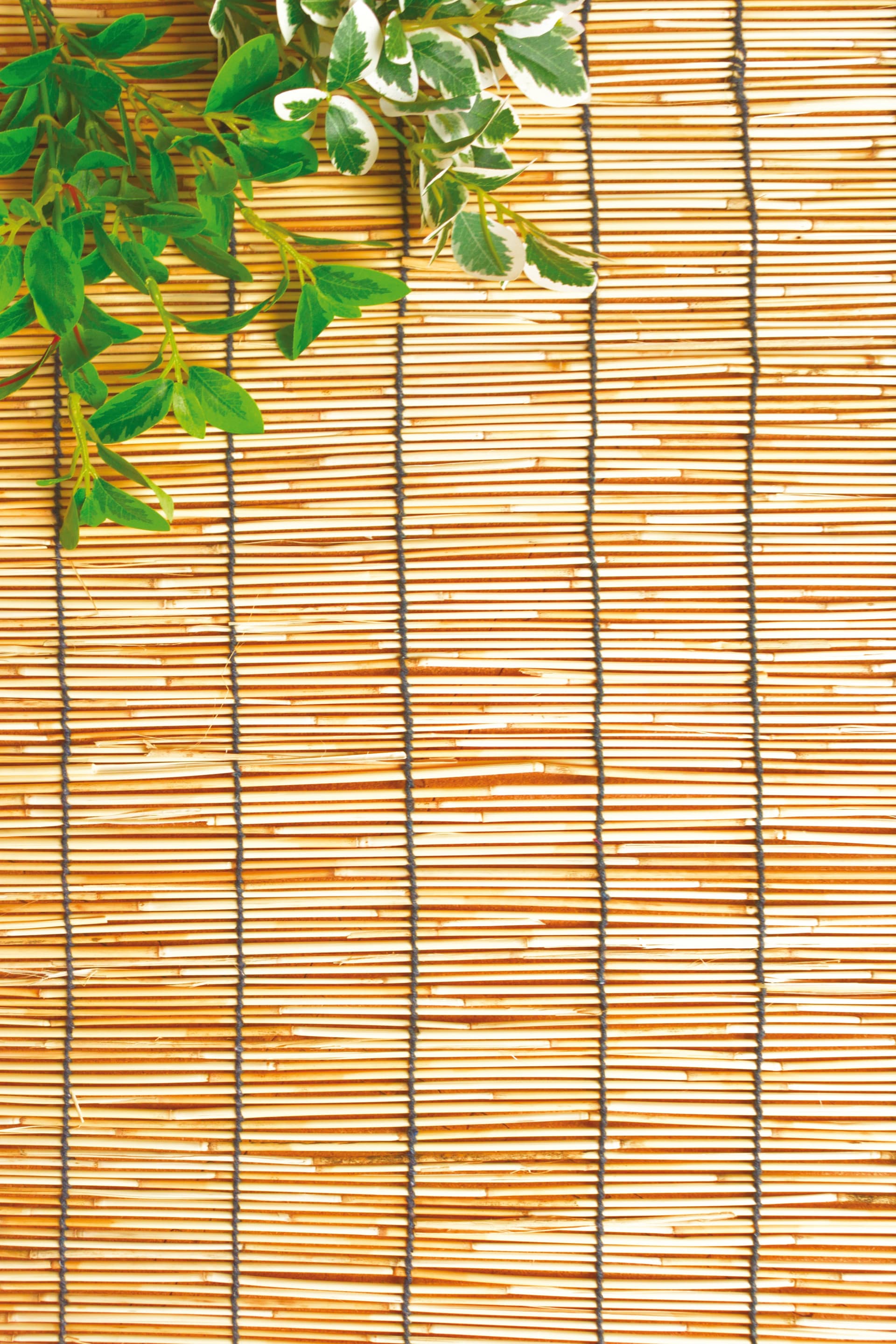 Top Quality Arelle Stuoia in Canniccio Naturale con Carrucola Cm 200 x 300 - 3