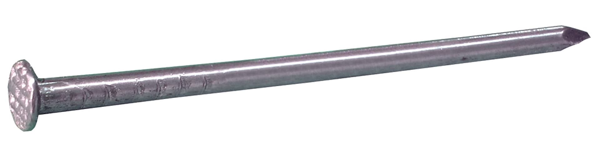 Chiodo a Testa Piana Mm 24 x 200 (6 2 x 200) 5 00 kg - 2