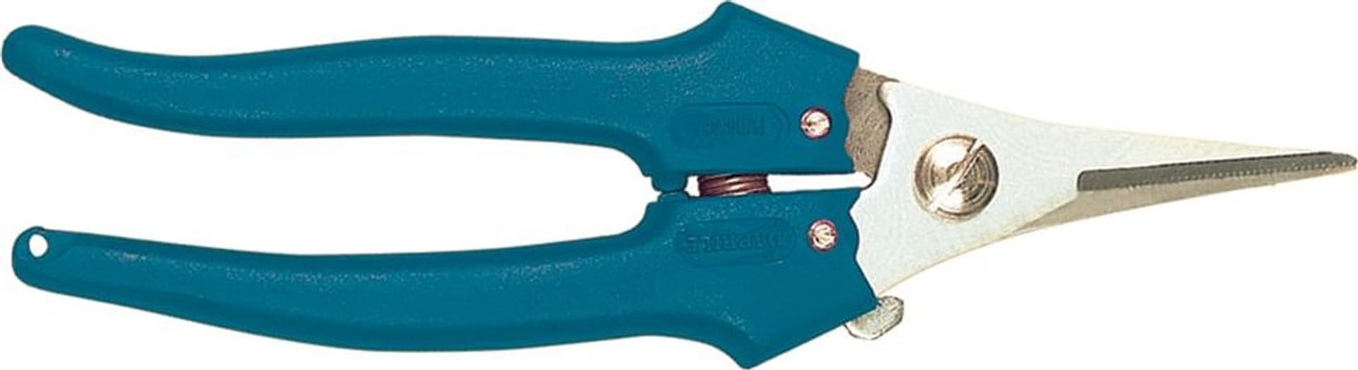 Forbici Cogliuva Strette in Inox Daprile - 1