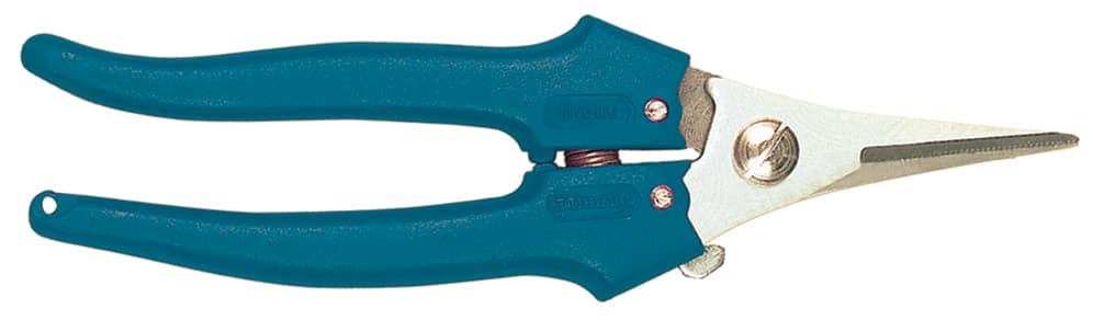 Forbici Cogliuva Strette in Inox Daprile - 2