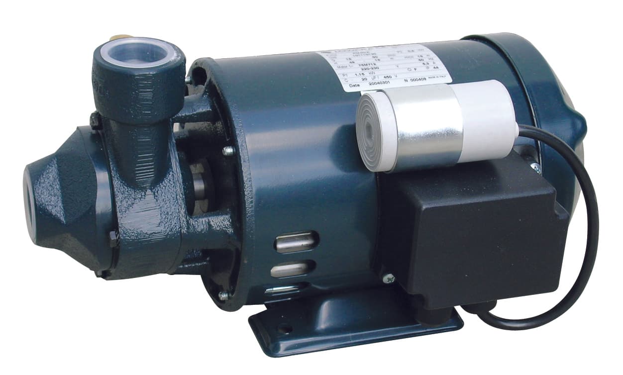 Elettropompa di Superficie Pm 40 600 W Hp 0 8 Lowara - 2