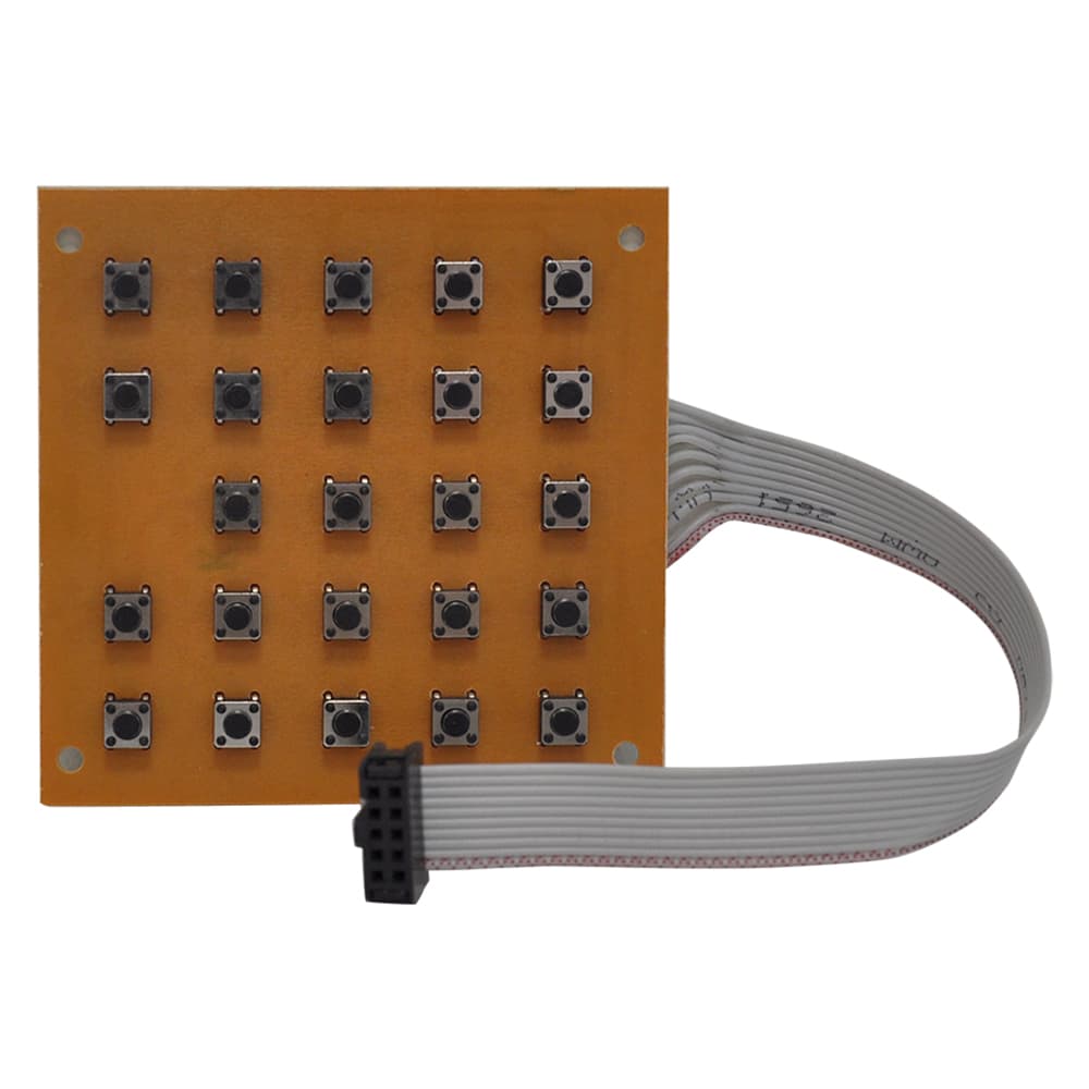 Circuito Interno Tastiera per Bilico 300 kg - 2