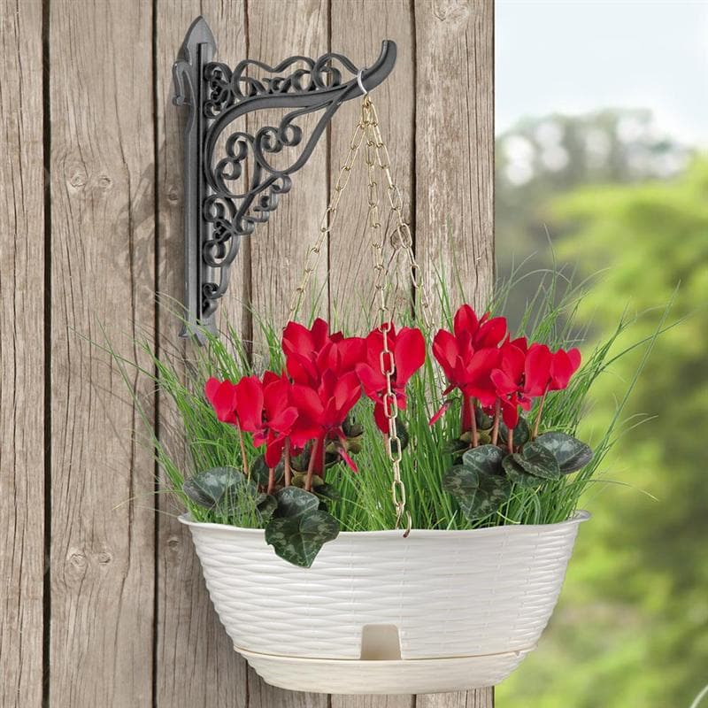 Ciotola per Fiori Kit Appendibile Ø Panna Bama Paglia 30 x 13 cm - 3