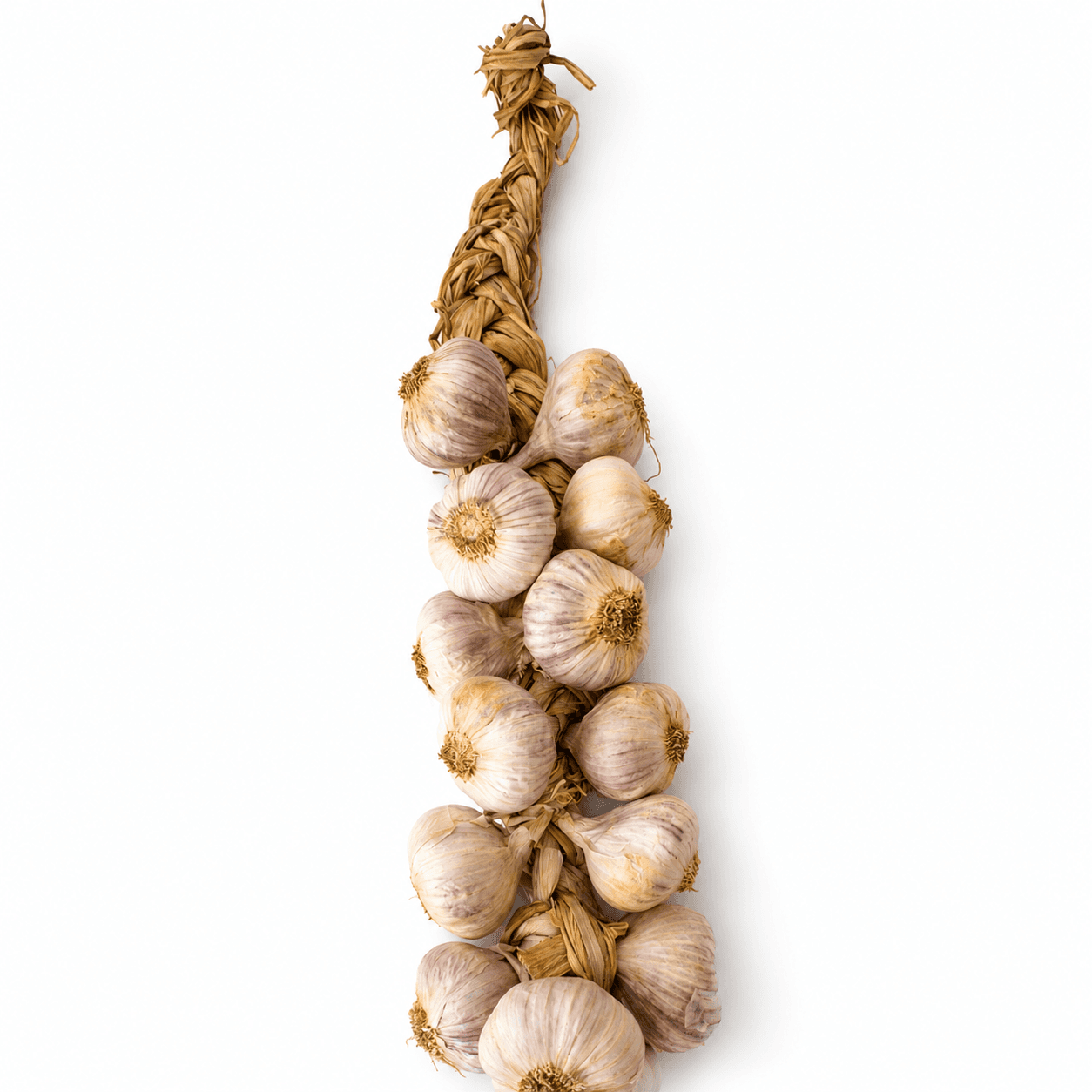 Aglio Rosso di Nubia | Raccolto a mano | Barbara, Sicilia | Treccia da 1kg - 3