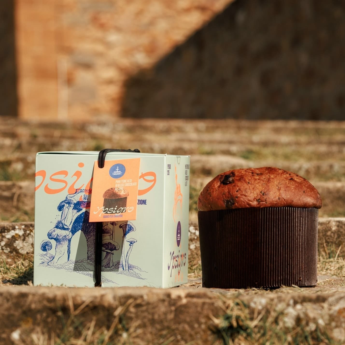Panettone Ypsigro | Lievitazione Naturale | Fiasconaro, Sicilia | 750g - 2