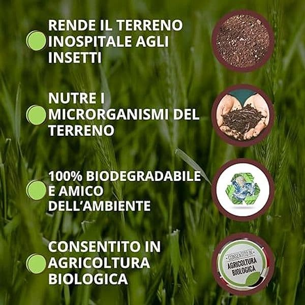 Concime Granulare Neem Soil Vithal Bio Kb Kg 2,5 - 3