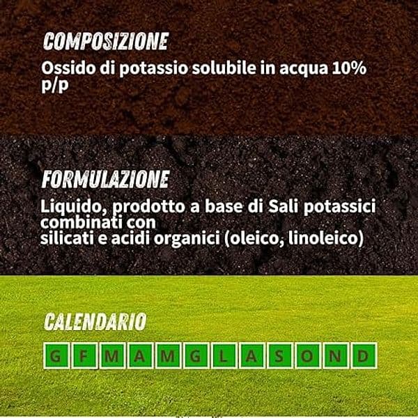 Corroborante Liquido Sapone Molle Vithal Bio Kb 250 ml 2 Pezzi - 2