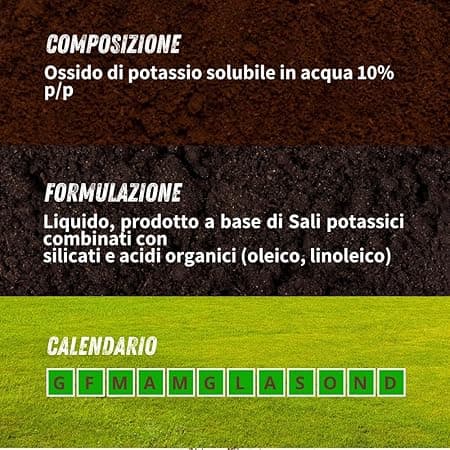 Corroborante Liquido Sapone Molle Vithal Bio Kb 250 ml 2 Pezzi - 2