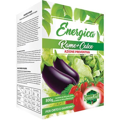 Concime Polvere Rame con Calce Idrata Energica 800 g 2 Pezzi - 2