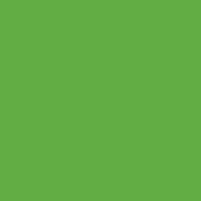 Plastica Adesiva Verde Pisello Lucido 1995 Alkor H.cm 45 L.15 m - 2