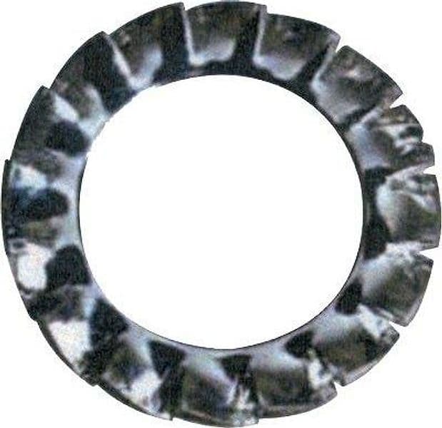 Rondella Dentellata Zincata M 10 1000 Pezzi - 2