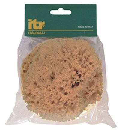 Spugna Decorativa Sm Itr Naturale Cm 14 - 2