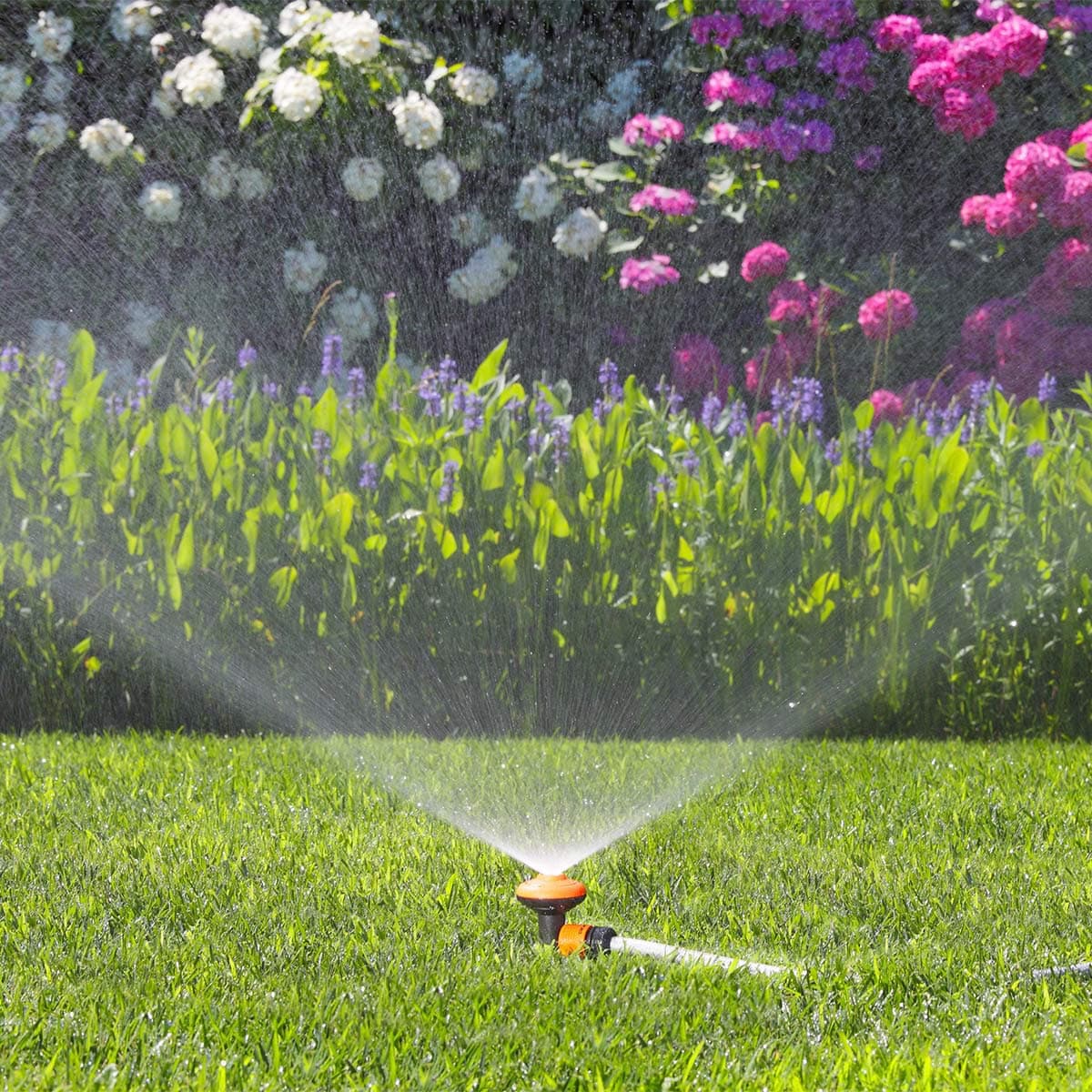 Irrigatore Statico Spikejet su Puntale Claber con Puntale Innesto Rapido - 3