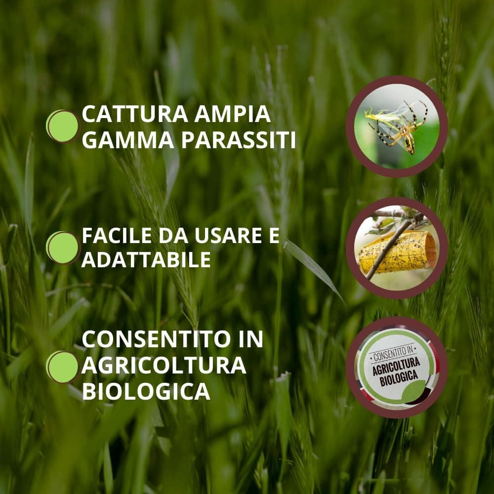 Trappola Magica per Afidi, Tripidi e Minatori Vithal Expert Ogni Confezione - 3
