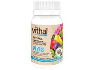 Propoli Vithal Bio 250 ml Vithal - 4