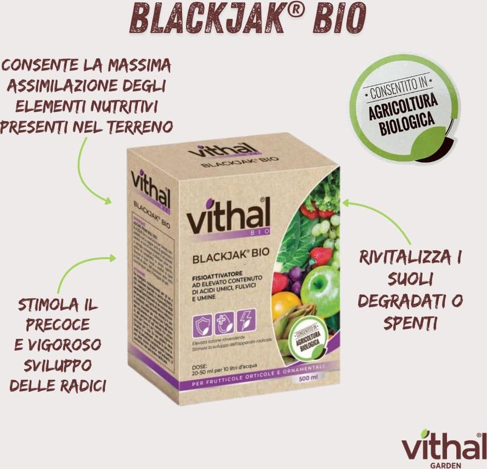 Fisioattivatore Blackjak Vithal Bio 500 ml Vithal - 2
