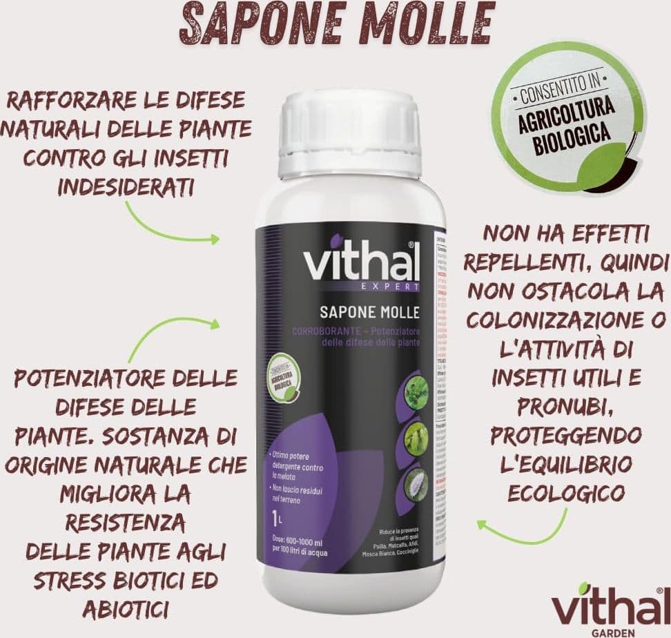 Concime Liquido Rame e Zolfo Vithal Expert 1 kg Vithal 5 Pezzi - 2