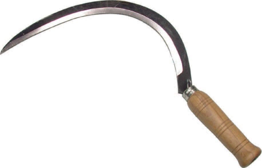 Falciola Liscia N°1 - 1
