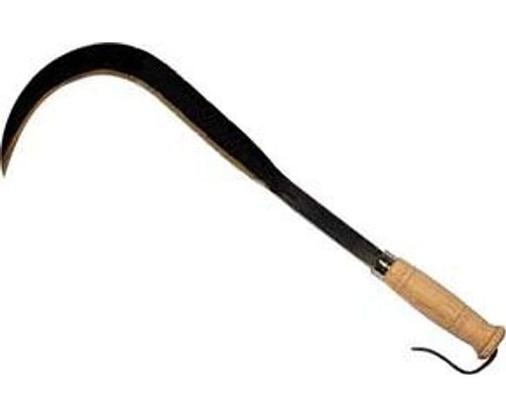 Roncola Sfrattarola con Manico Legno 50 cm - 2