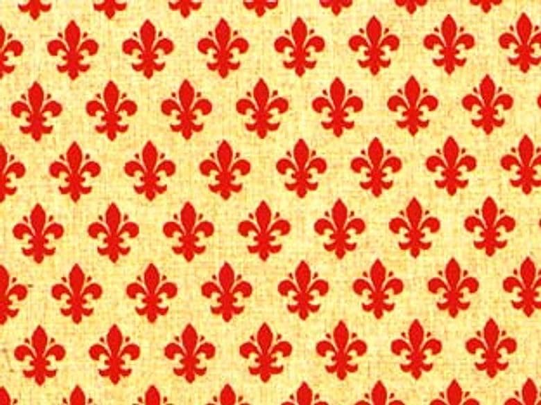 Plastica Adesiva Giglio Rosso (280 2058) 45 Cmh. in Rotoli da 15 m 1 Rotolo - 2
