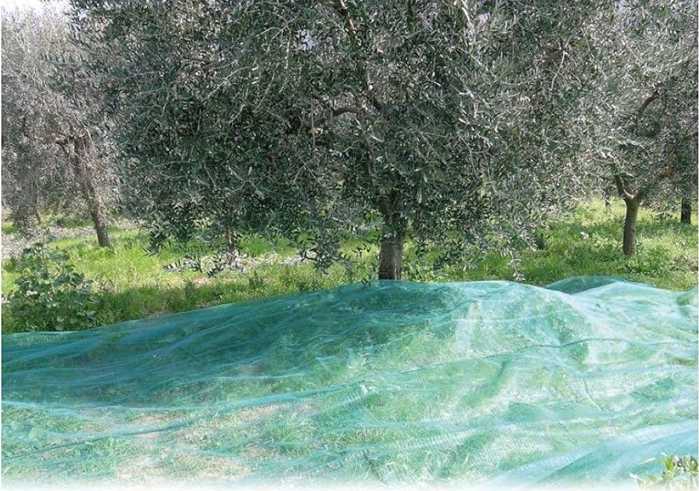 Rete per Raccolta Olive Antispine Ideal Star Telo 6 x 10 m - 3