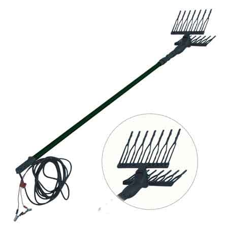 Abbacchiatore per Olive Elettrico Cardinale - 4