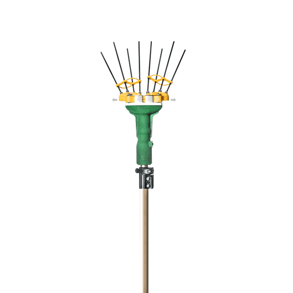Abbacchiatore a Batteria Adrian 12 V Sbaraglia - 4