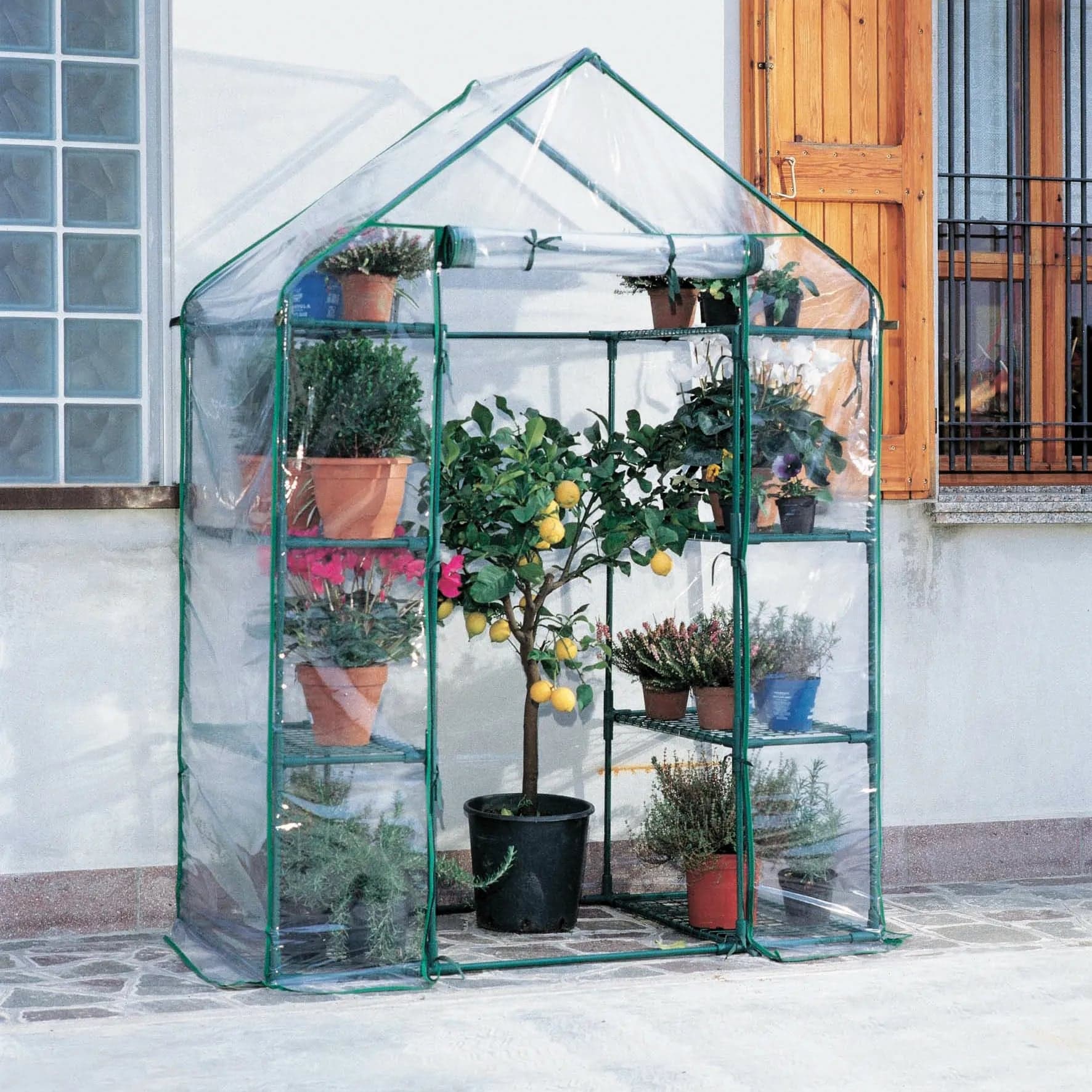 Serra da Terrazzo Giardino 8 Ripiani Cm 140 x 70 x 195H - 3