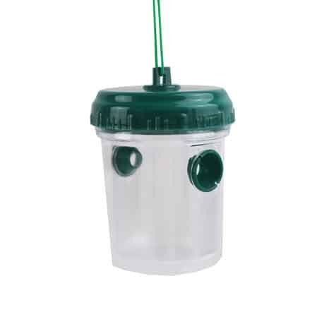 Trappola per Vespe e Calabroni Ideal Star Ø Cm 5 x 19H - 3