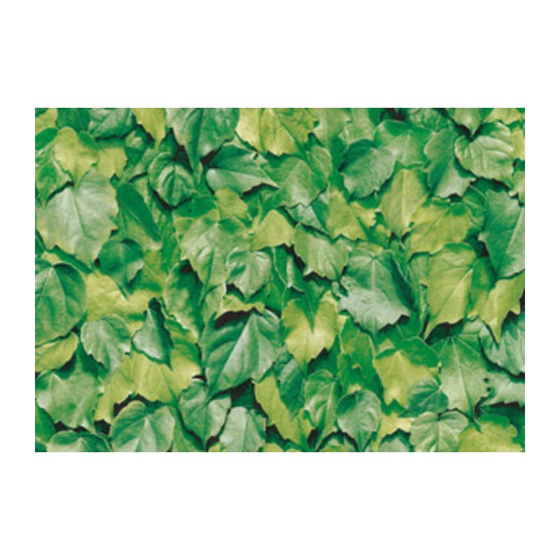 PLASTICA ADESIVA ALKOR 280.3170 FOGLIE VERDI 15 M- HORNSCHUCH ITALIA- 1,0 rotoli - 2