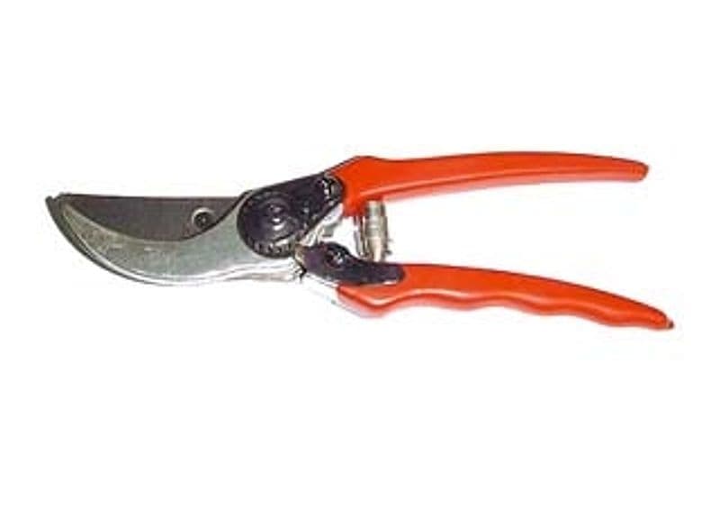 Forbice Pota 21 cm de Luca 12 Pezzi - 1