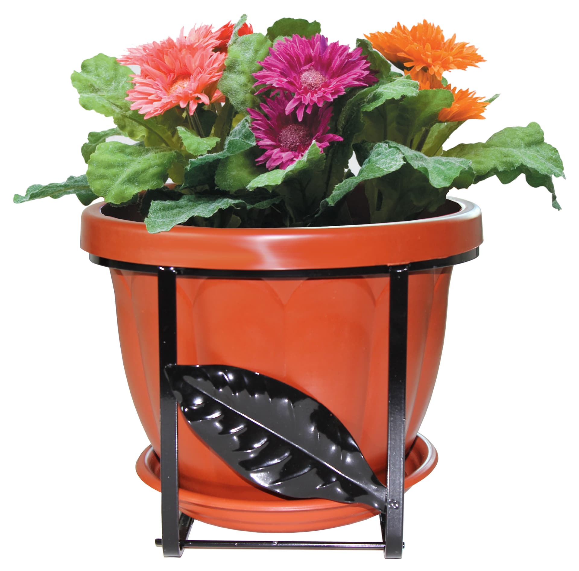 SET BALCONI FIORITI TONDO D 25 CM- 6,0 pz - 2