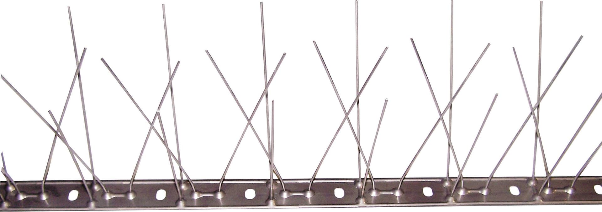 Dissuasore per Volatili 100 cm da 80 Spilli Acciaio F.lli Padovan 25 Pezzi - 2