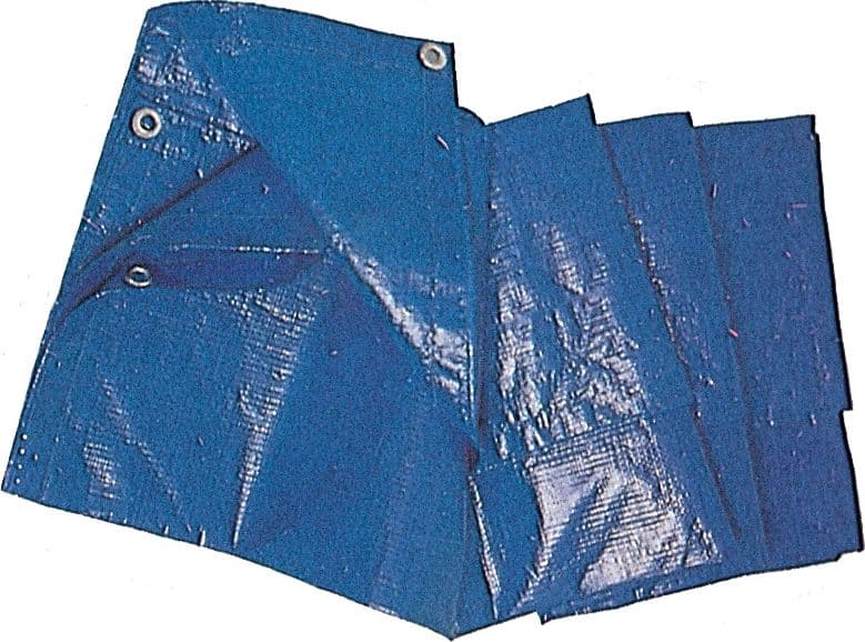 Telo Occhiellato PE 3 x 4M 85GR Blu - 2