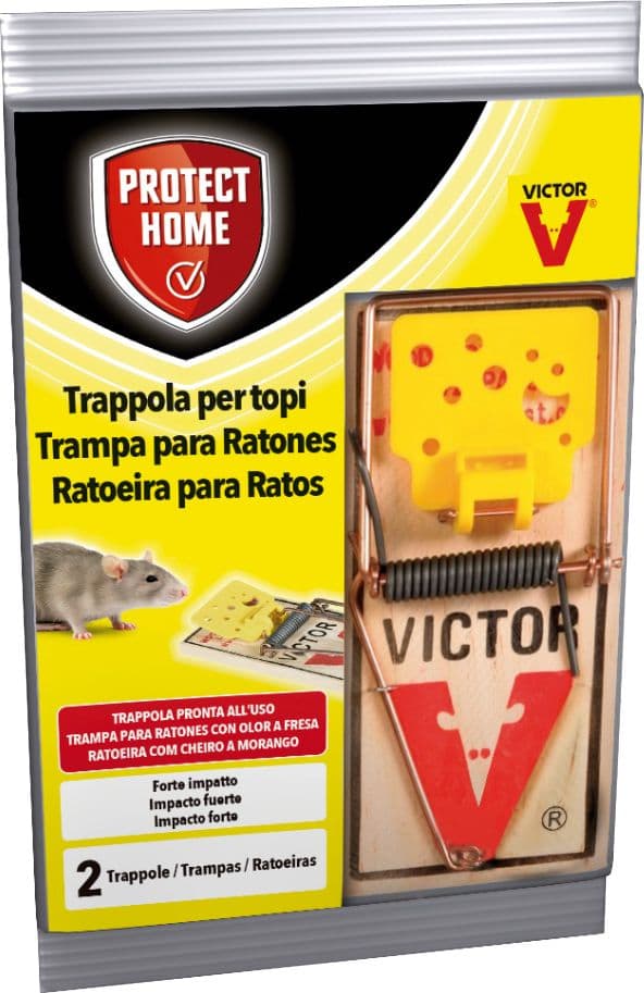 Bayer Trappole a Scatto Piccole .2 36 Pezzi - 2