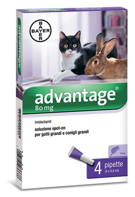 BAYER ADVANTAGE SPOT ON 80 GATTI OLTRE 4 KG- BAYER- 1,0 pz - 2