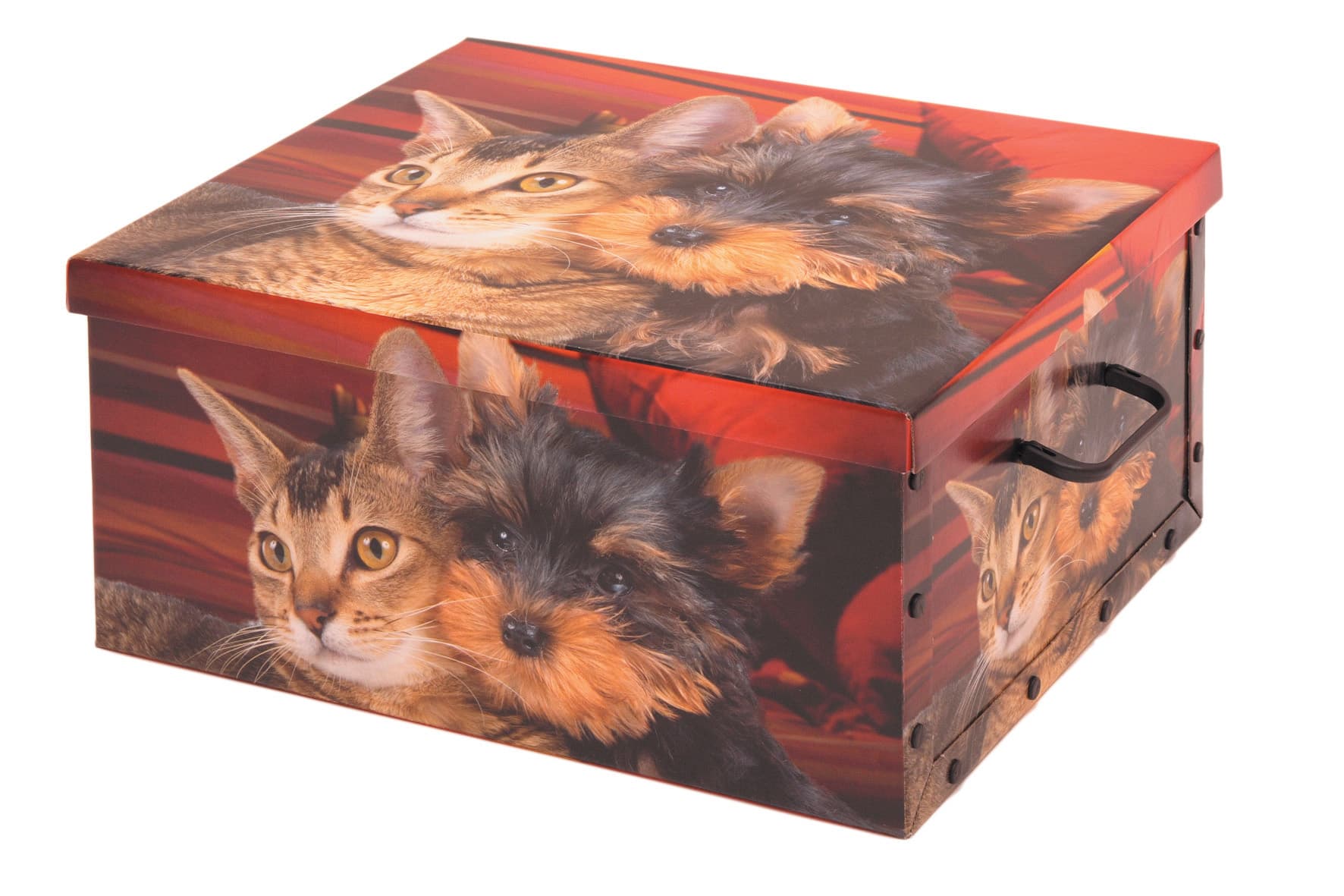 SCATOLA IN CARTONE LUX 40X50XH25CM FANTASIE ASS- 22,0 pz - 2
