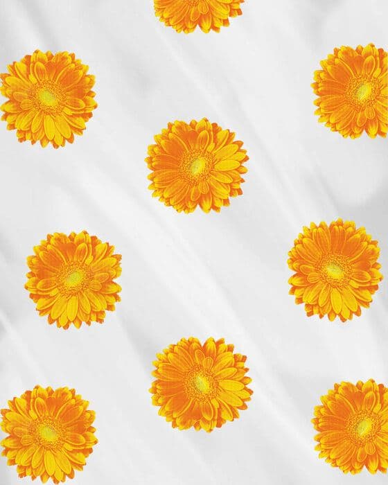 Tovagliato Fantasia Fiori Cristal Dis. CS101 H 140 cm 30 ml – Gemitex