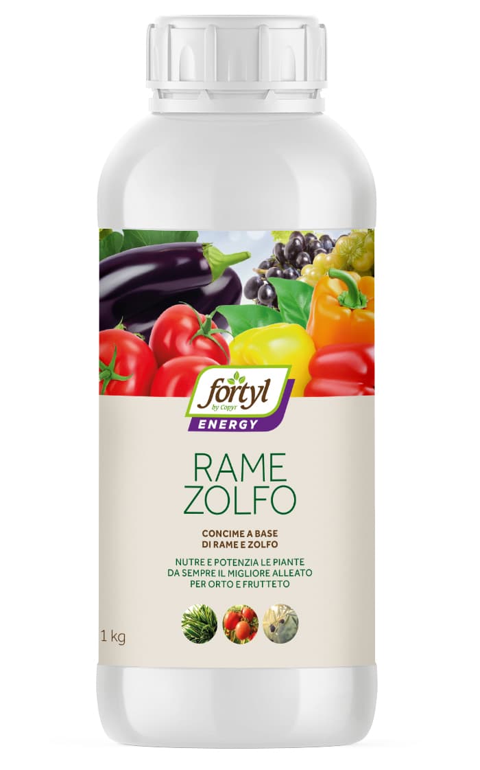 RAME ZOLFO COPYR PER PIANTE 1 KG- 12,0 pz - 2