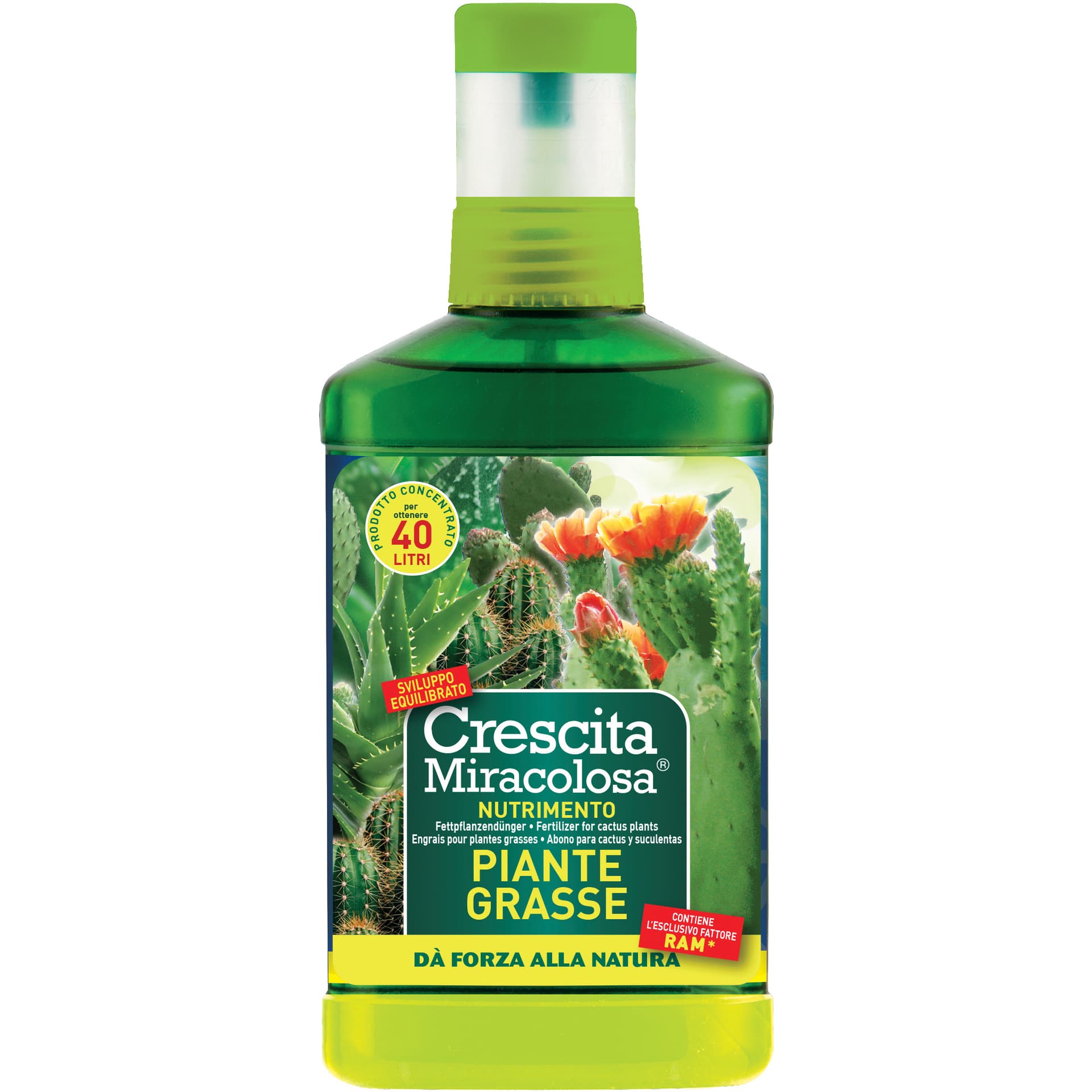 Crescita Miracolosa Nutrimento Piante Grasse 200 ml - 2