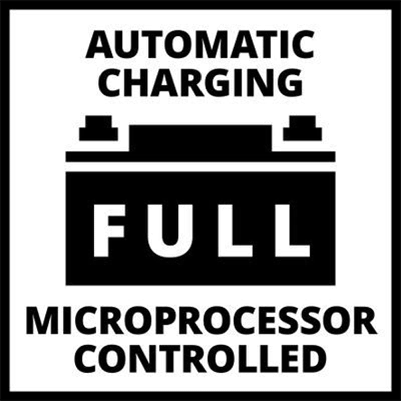 Caricatore universale per auto caricabatterie avviatore macchina 12V 24V - 6