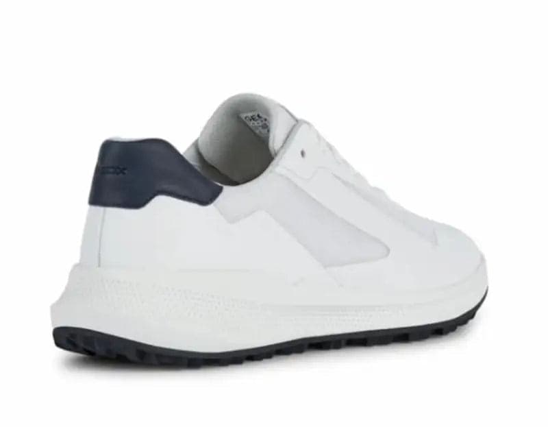 U3536A  SNEAKERS Geox Bianco 0000000508 - 3