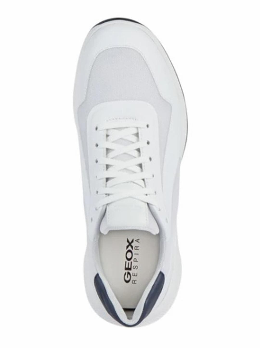 U3536A  SNEAKERS Geox Bianco 0000000508 - 9