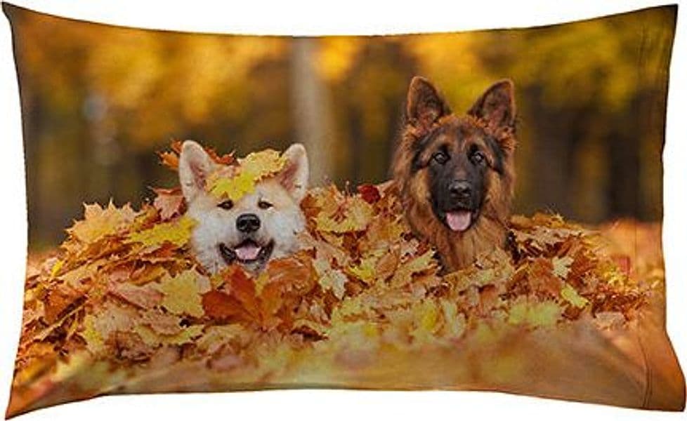 Parure letto lenzuola Cotone Tinta Unita Bianco e Federe Bifaccia 100% cotone made in Italy CANI - 2