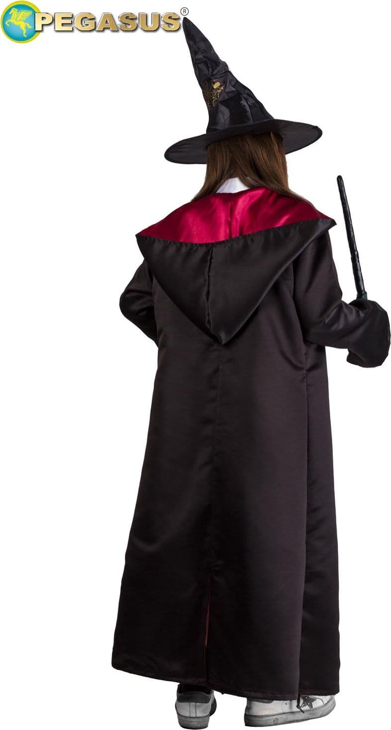 COSTUME CARNEVALE MAGA STUDENTESSA DI MAGIA BAMBINA DA 5 A 13 ANNI - PEGASUS 1951 - 2